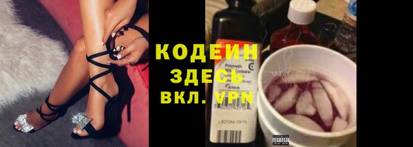индика Алзамай