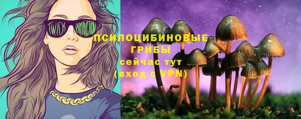 дживик Алексин