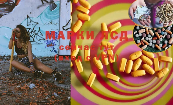 индика Алзамай