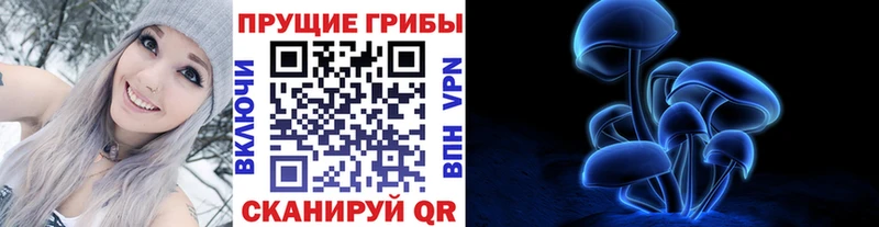 Псилоцибиновые грибы Psilocybine cubensis MEGA зеркало Вихоревка